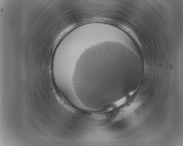 X0000067350954200604131747