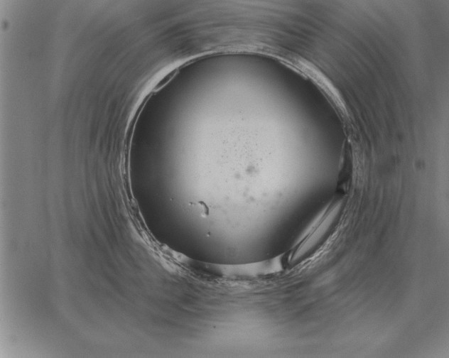 X0000067350956200604131747