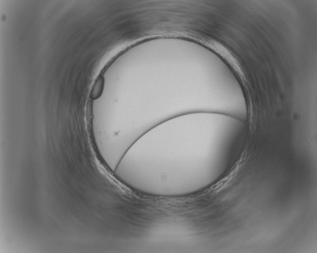 X0000067350958200604131747