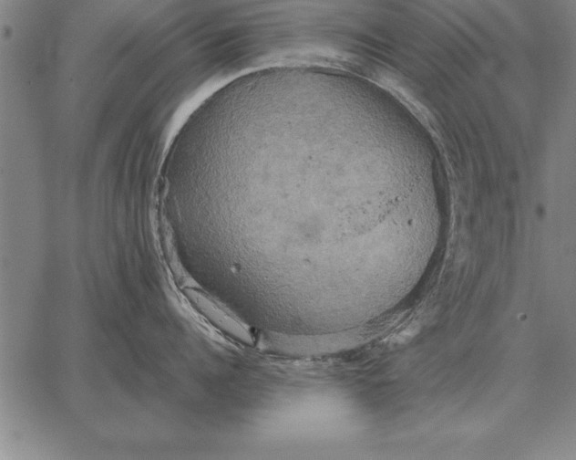 X0000067350960200604131747