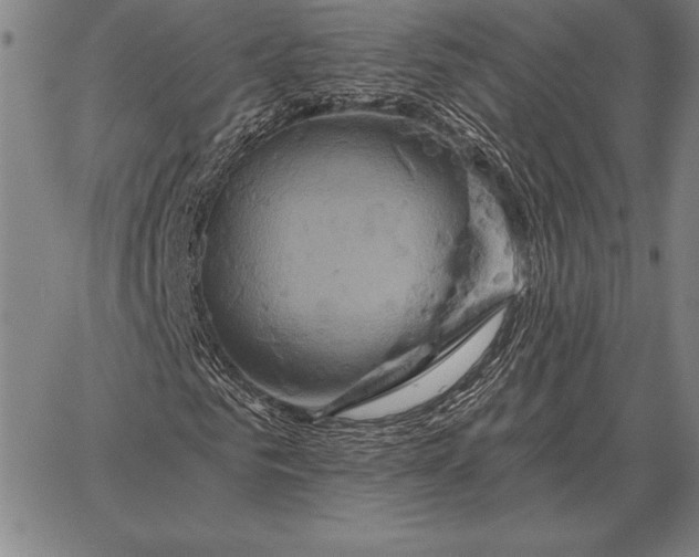 X0000067350961200604131747