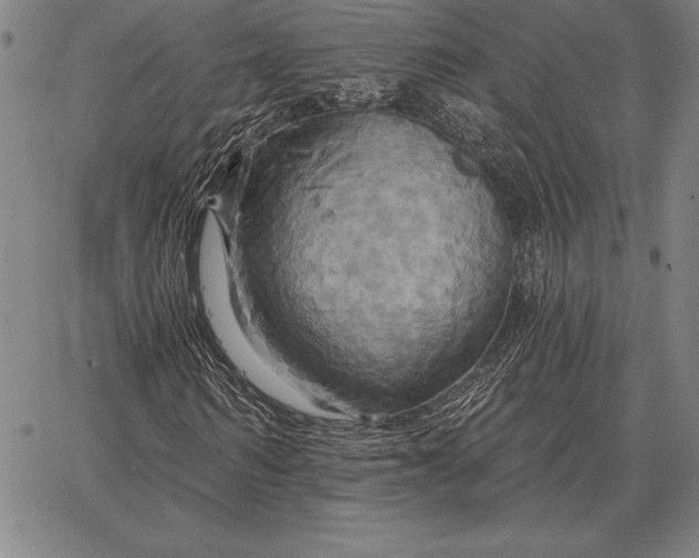 X0000067350962200604131747