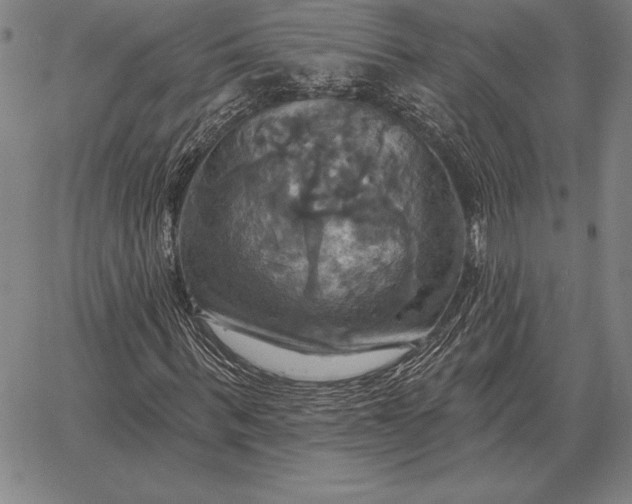 X0000067350963200604131746