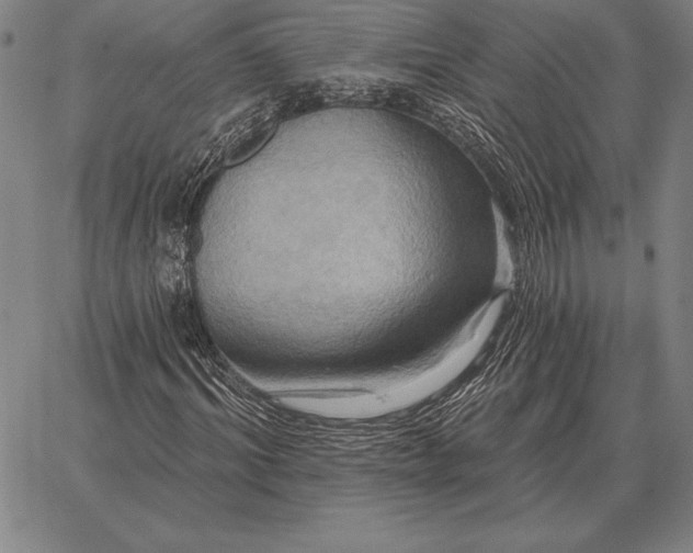 X0000067350964200604131746