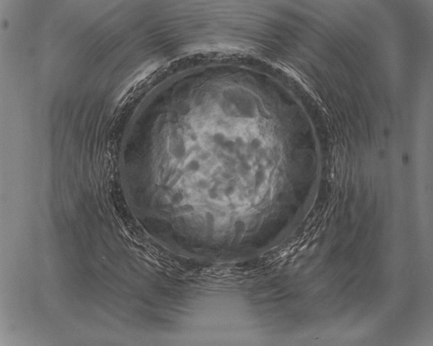 X0000067350967200604131746