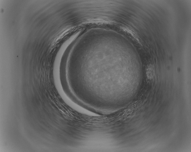 X0000067350968200604131746