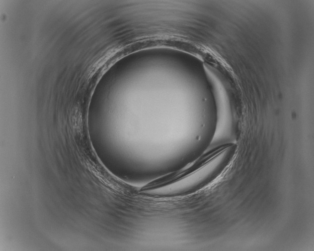 X0000067350969200604131746