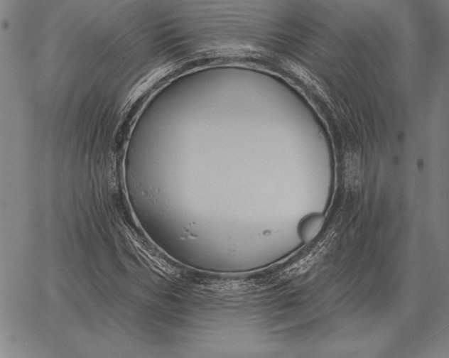 X0000067350970200604131746