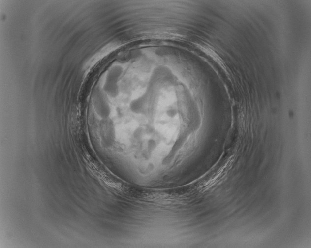 X0000067350971200604131746