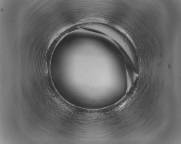 X0000067350973200604131746