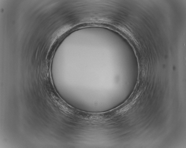 X0000067350974200604131746