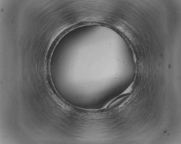 X0000067350976200604131746