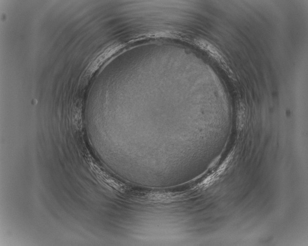 X0000067350977200604131746