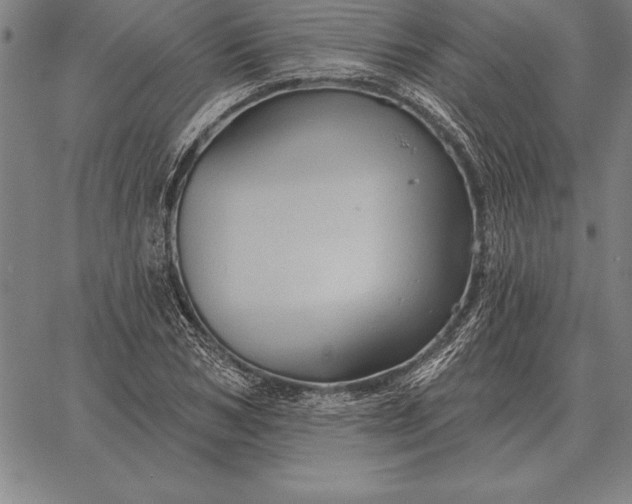 X0000067350978200604131746