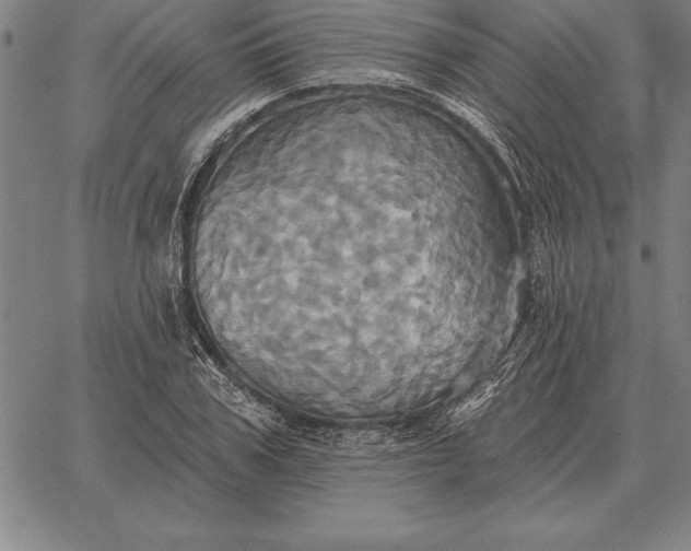 X0000067350979200604131746