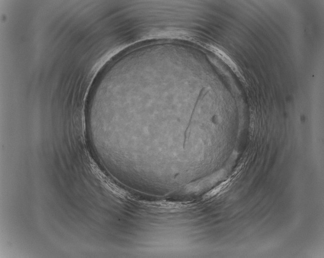 X0000067350980200604131746