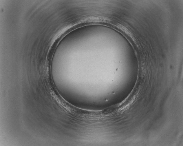 X0000067350981200604131746