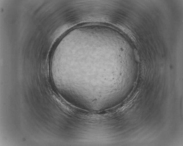 X0000067350982200604131746