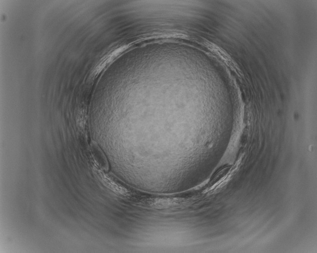 X0000067350985200604131746