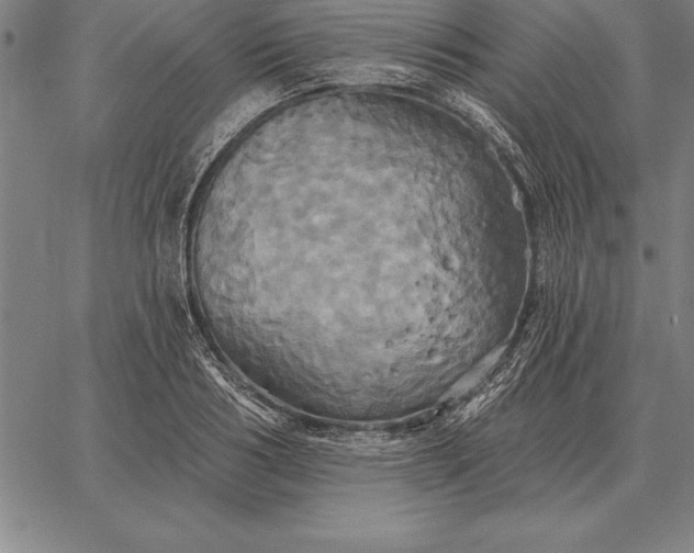 X0000067350986200604131746