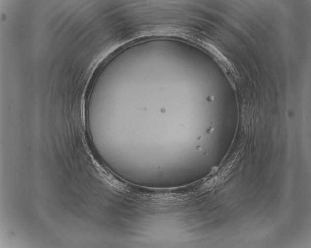 X0000067350988200604131746