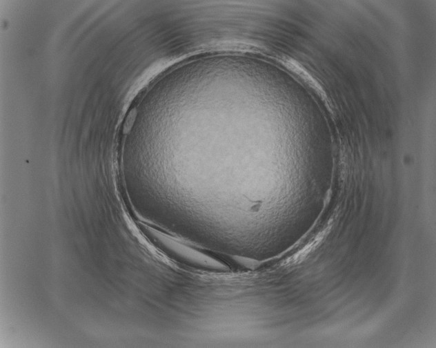 X0000067350989200604131746