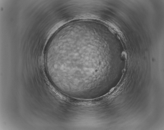 X0000067350990200604131746