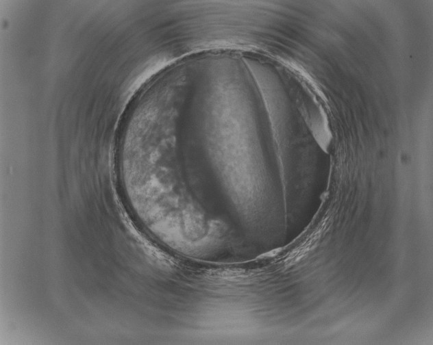 X0000067350991200604131746