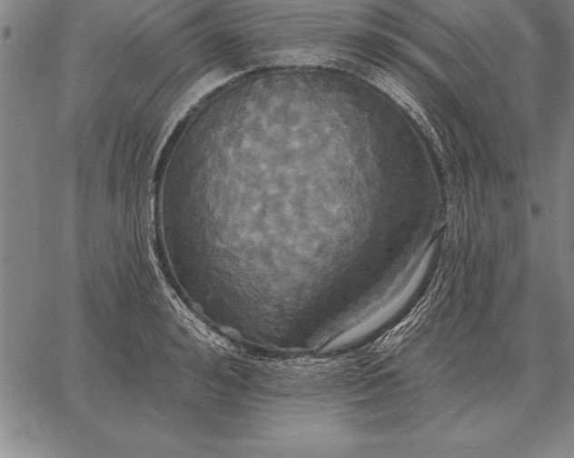 X0000067350992200604131746