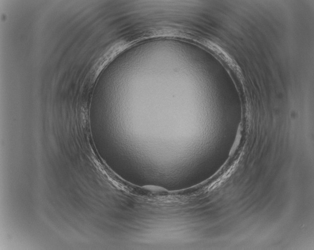 X0000067350993200604131746