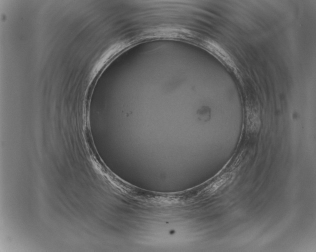 X0000067350994200604131746