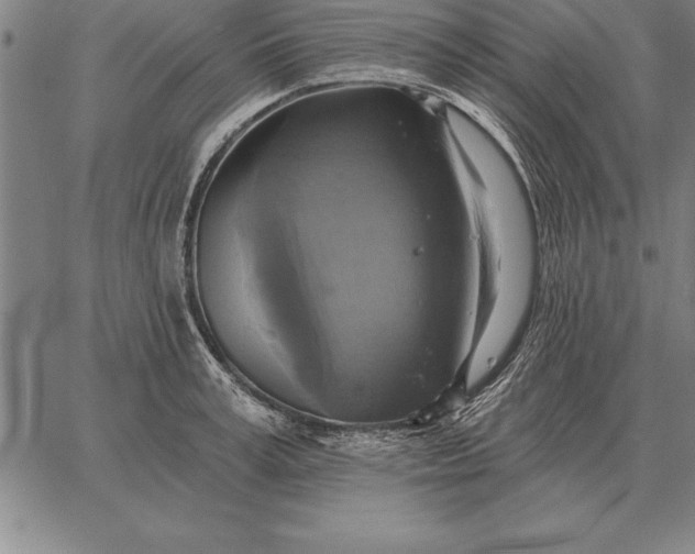 X0000067350995200604131746