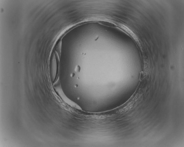 X0000067350996200604131746