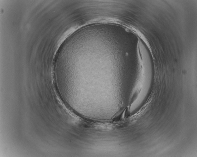 X0000067350997200604131746