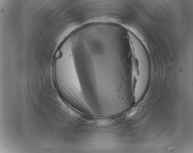 X0000067350998200604131746