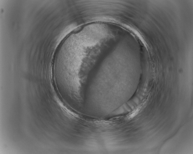 X0000067350999200604131746