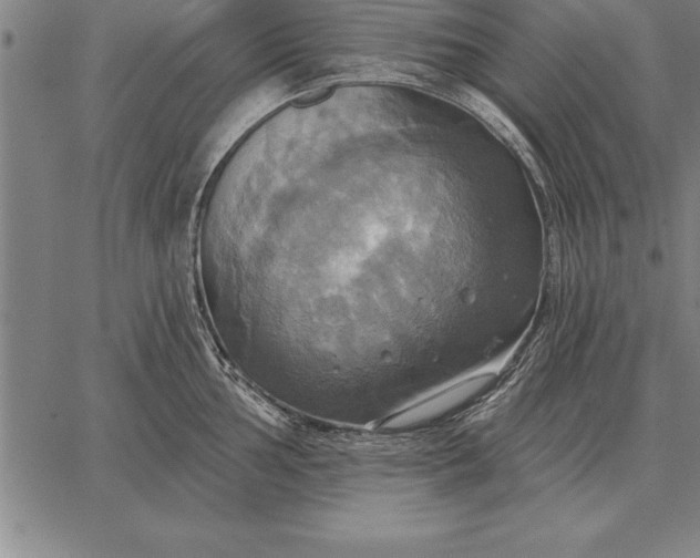 X0000067351002200604131746