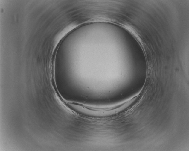 X0000067351003200604131746