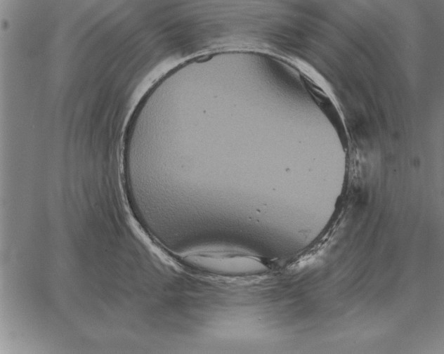 X0000067351005200604131746