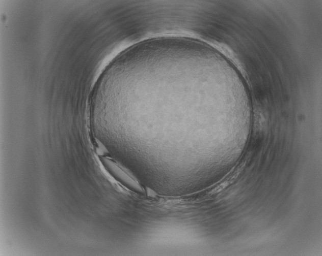 X0000067351006200604131746