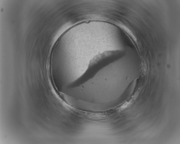 X0000067351007200604131746