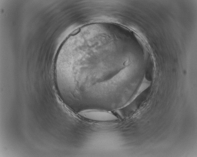 X0000067351008200604131746