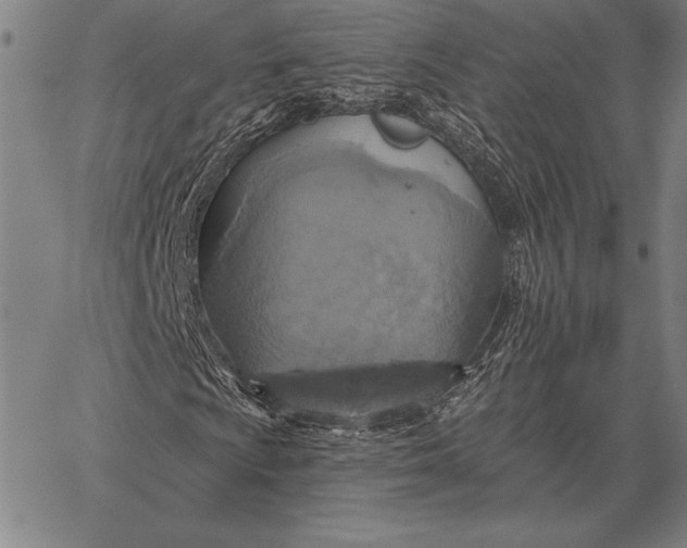 X0000067351009200604131745