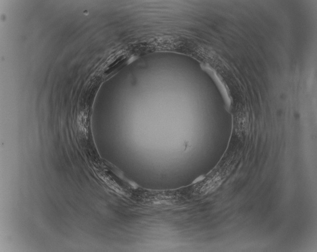 X0000067351010200604131745