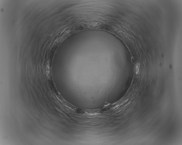 X0000067351011200604131745