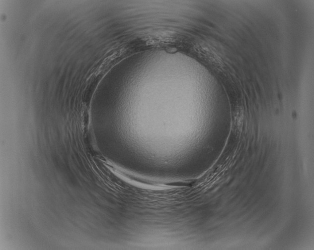 X0000067351012200604131745