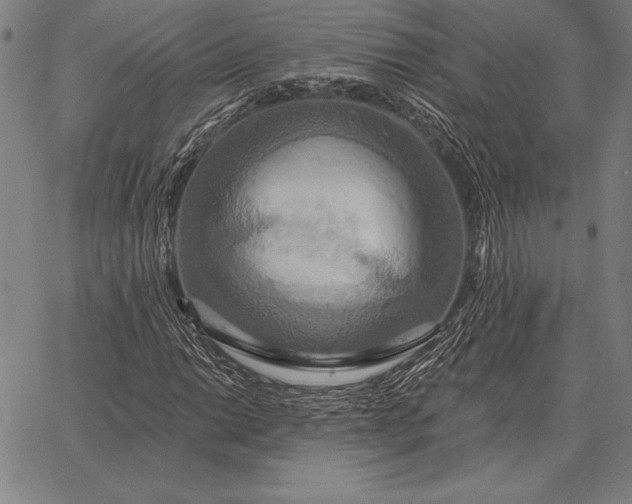 X0000067351014200604131745