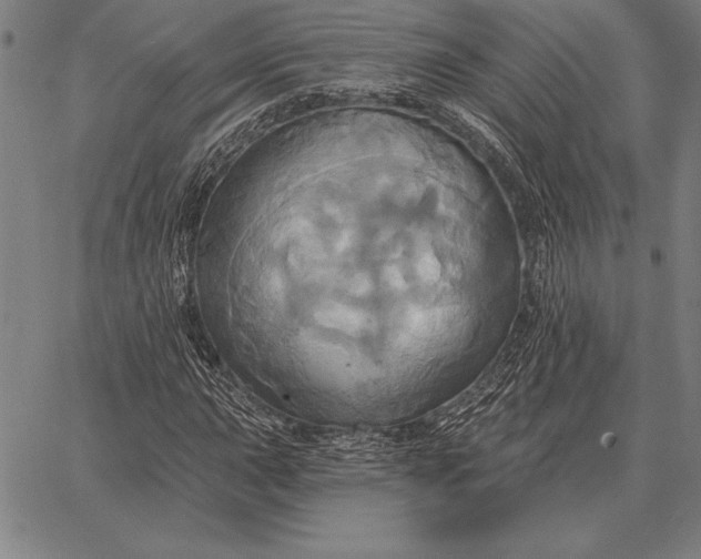 X0000067351015200604131745