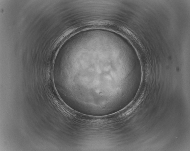 X0000067351017200604131745