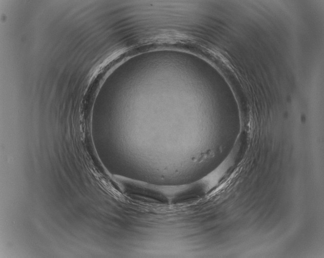 X0000067351018200604131745